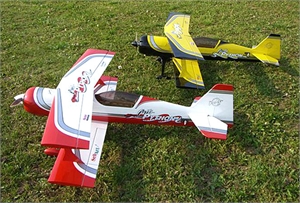 PITTS 12 PYTHON 50E YB